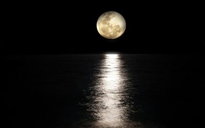 Full Moon in Leo — the article