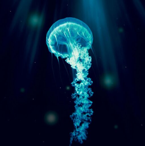 The Spiritual Warrior - An Exploration of Neptune in Aries